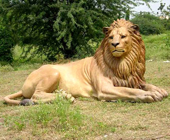 animales salvajes
